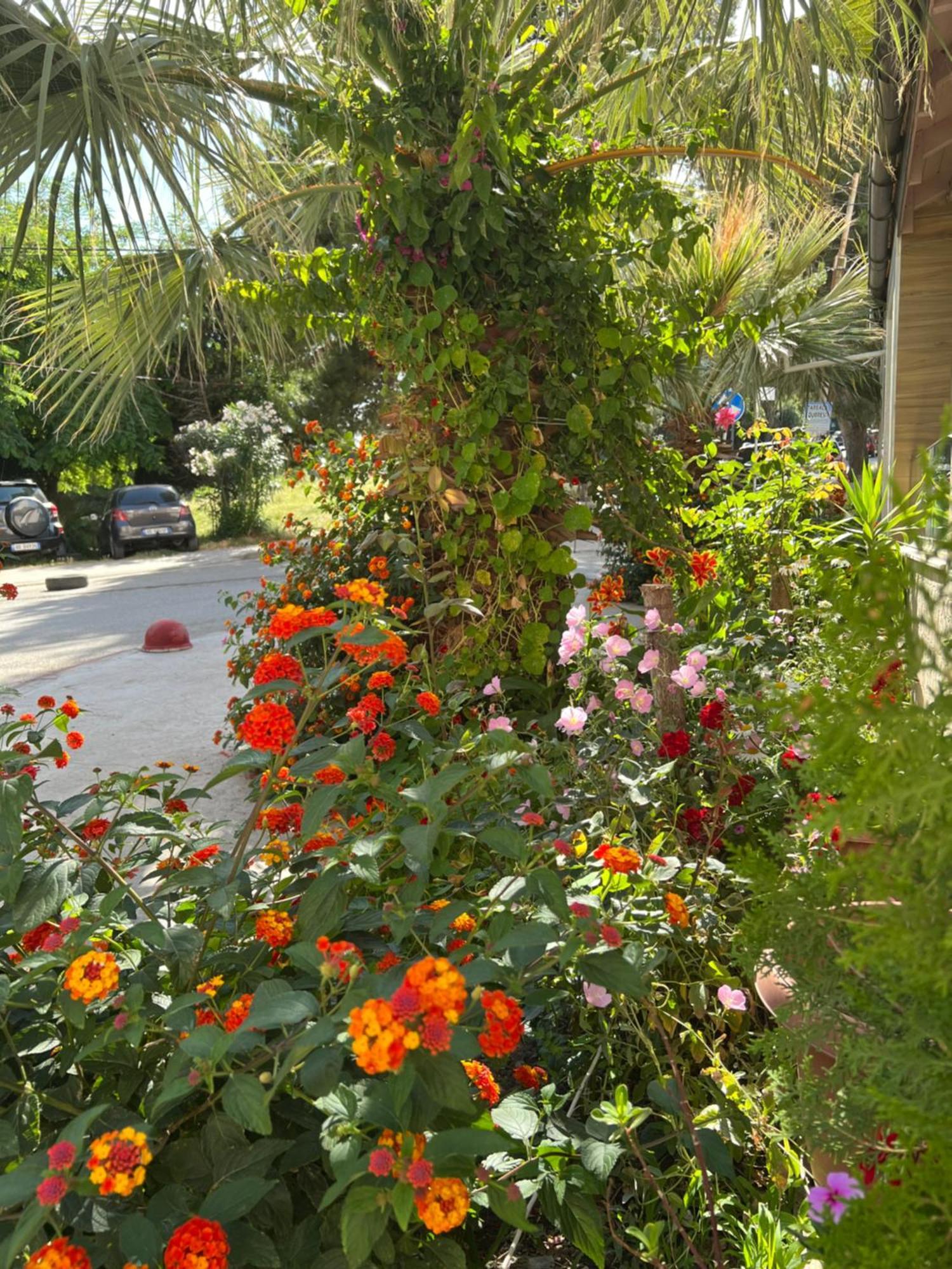 Vila 3 Rooms Durres Luaran gambar